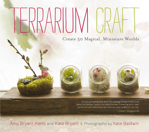 Terrarium Craft: Timber Tuesdays (1)