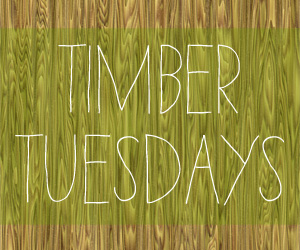 The Handbook of Natural Plant Dyes: Timber Tuesdays (2)