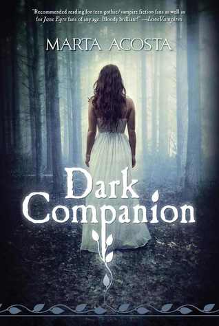 Dark Companion – Review